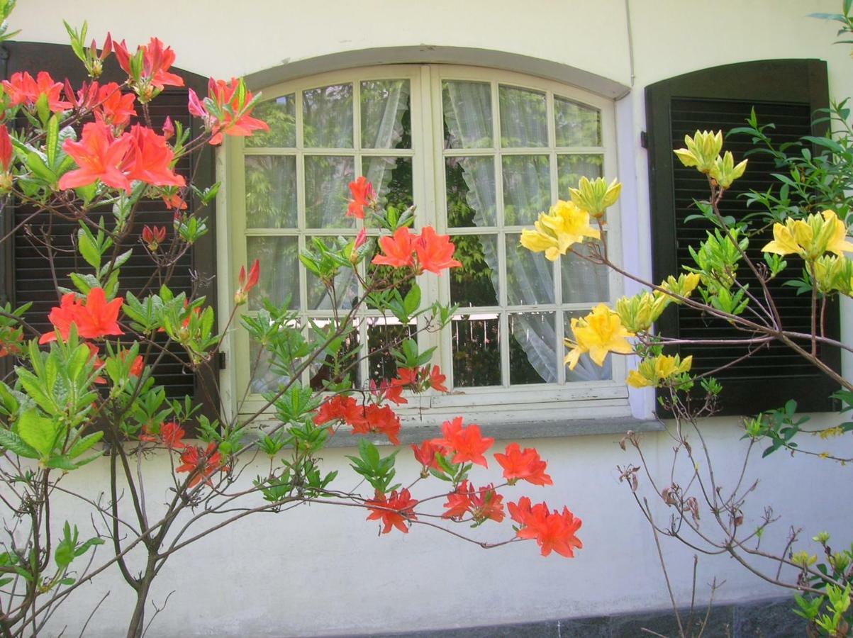 B&B Vaemenia 奥梅尼亚 外观 照片