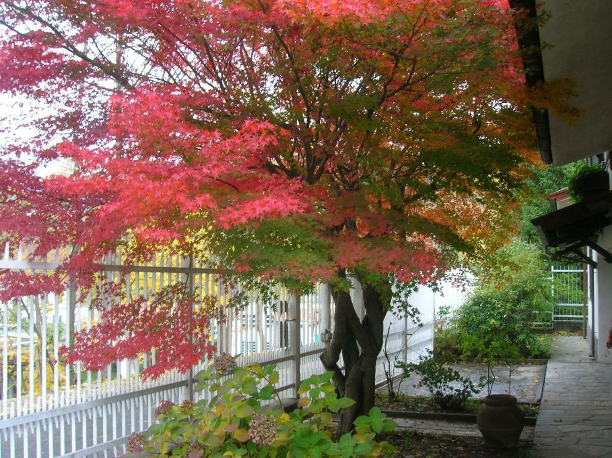 B&B Vaemenia 奥梅尼亚 外观 照片